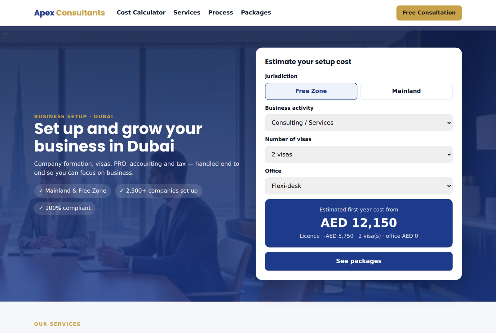Business setup website preview
